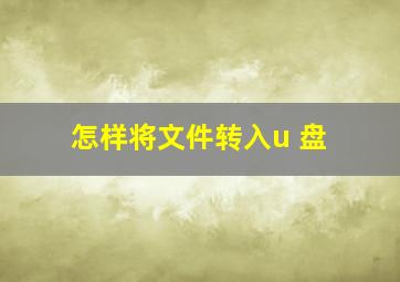 怎样将文件转入u 盘